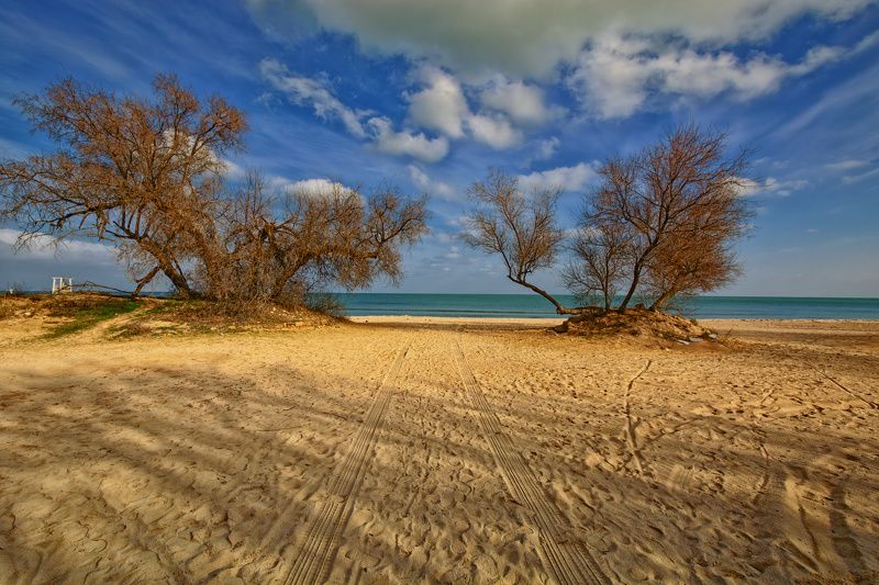 Прямо по курсу Черное фото превью
