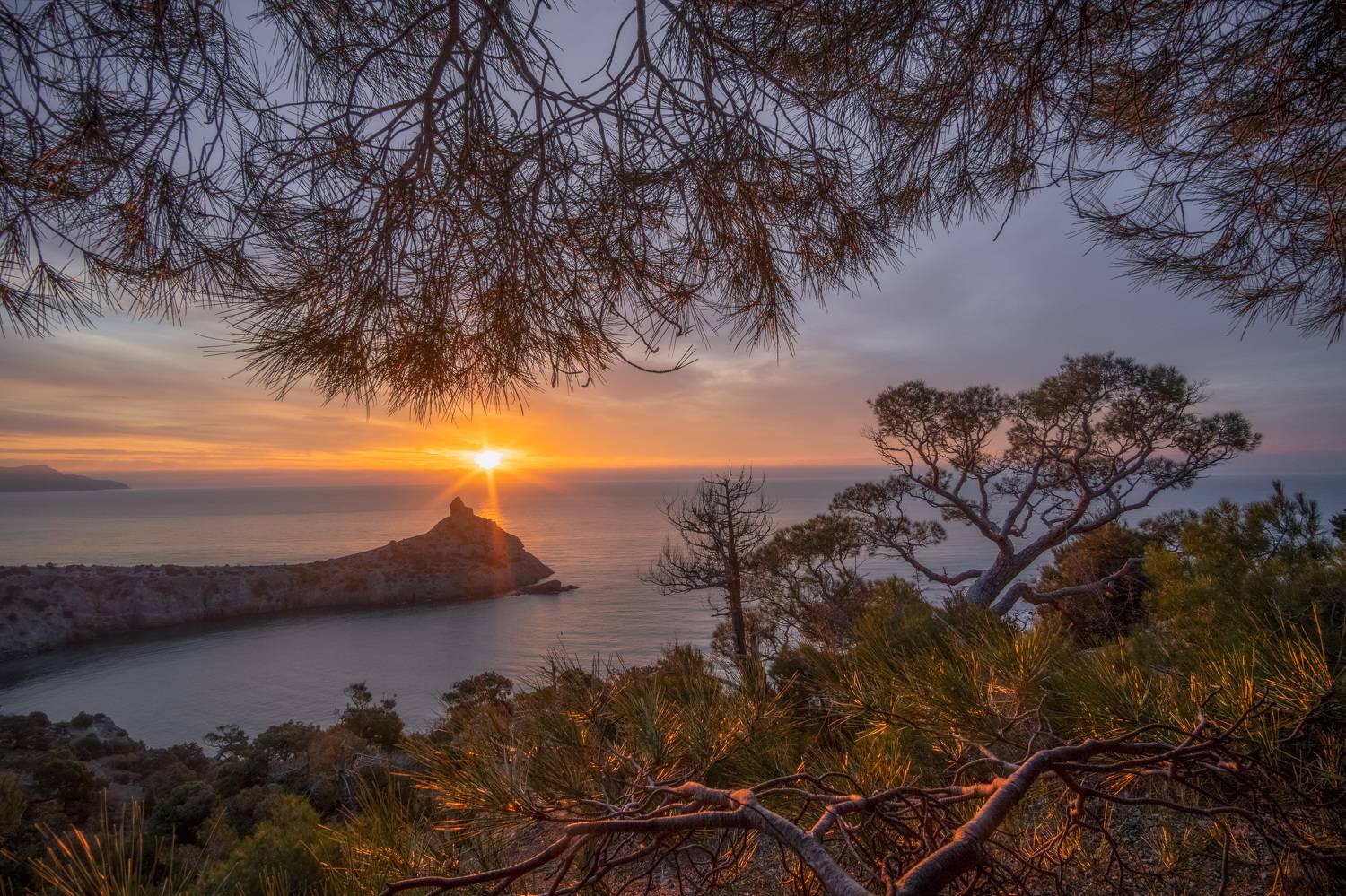 , Кривцов Андрей