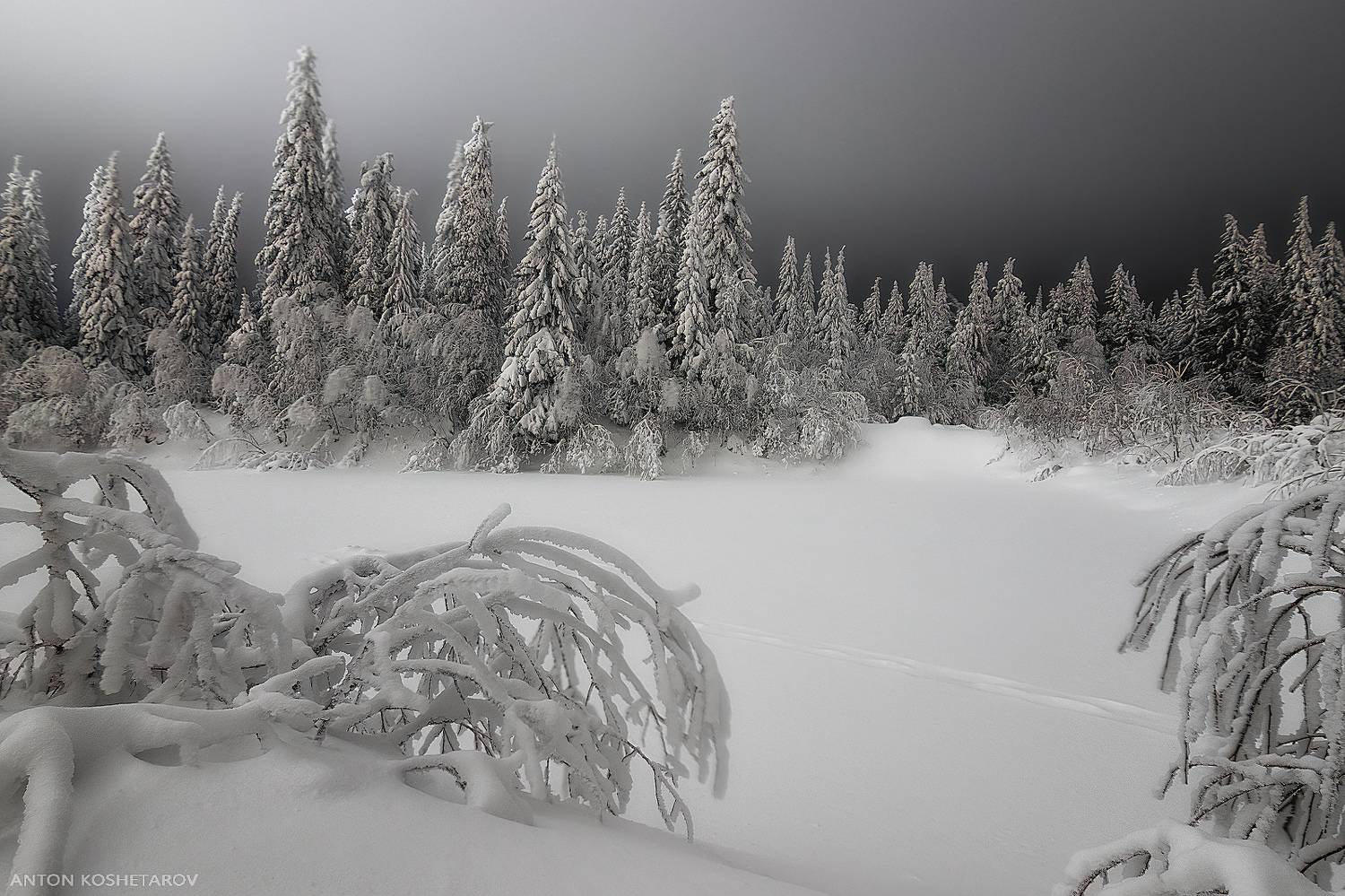 , Антон Кошетаров