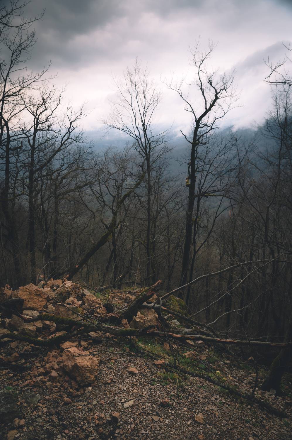 landscape, twilight, адыгея, forest, trees, stone,, Бугримов Егор