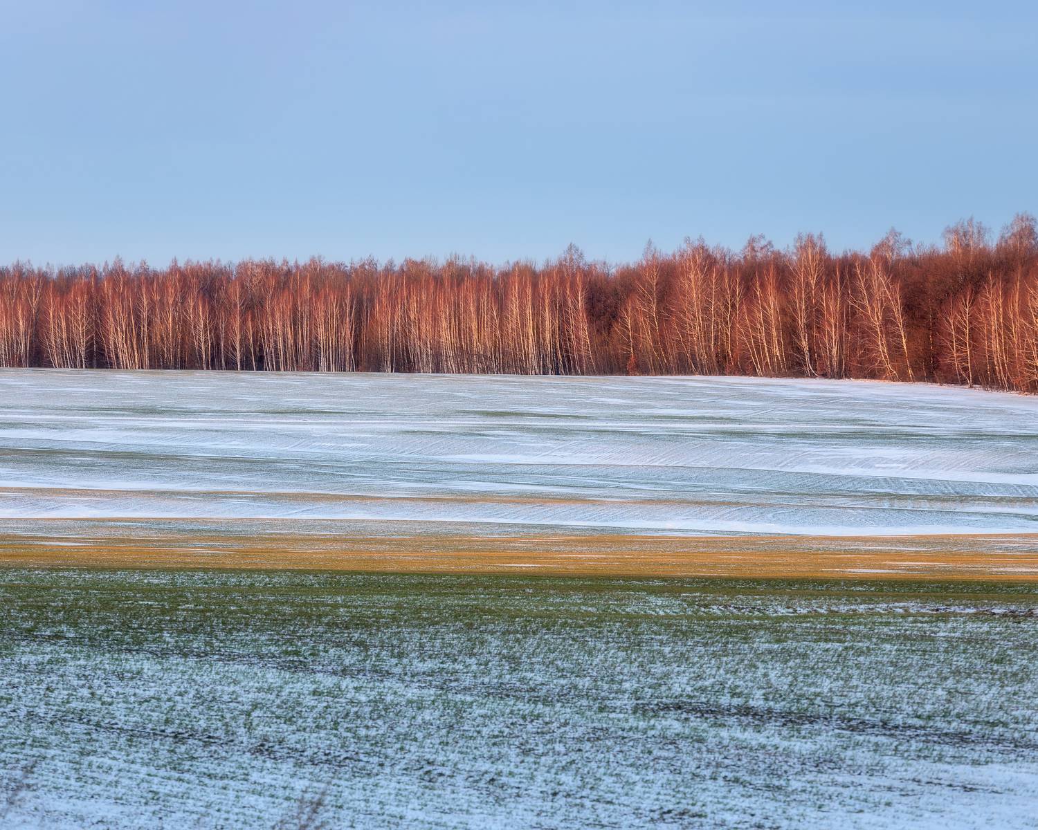 пейзаж, Тульская область, природа, зима, зимний пейзаж, поля зимой, Мартыненко Дмитрий