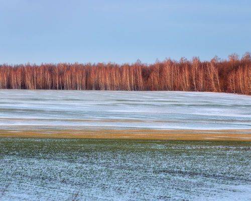Тульскаяя область