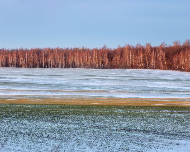 пейзаж, Тульская область, природа, зима, зимний пейзаж, поля зимой Тульскаяя область фото превью