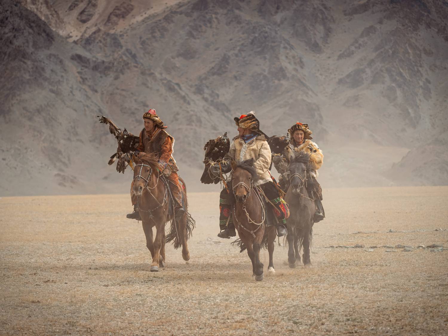 золотой орел, беркутчи, охотники с беркутами, монголия, golden eagle, Дубровская Екатерина