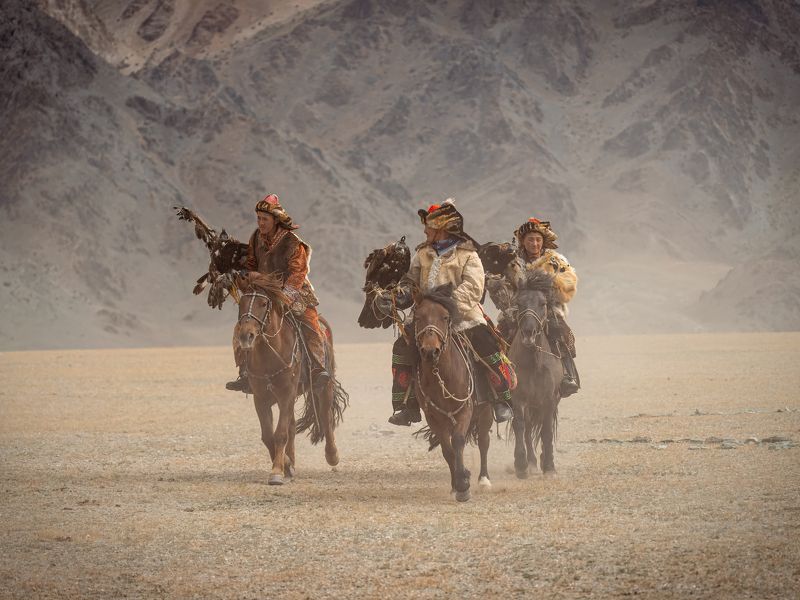 золотой орел, беркутчи, охотники с беркутами, монголия, golden eagle Sagsai Golden Eagle Festival. Фестиваль беркутчей. фото превью