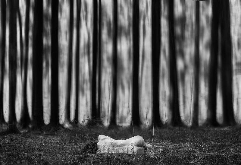 лес, девушка, природа, уединение, Лес Тенгу фото превью