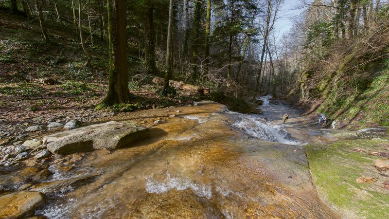 Прогулка  по реке фото превью