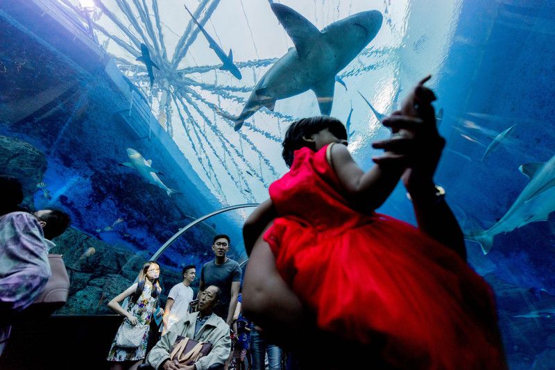 Singapore фото превью