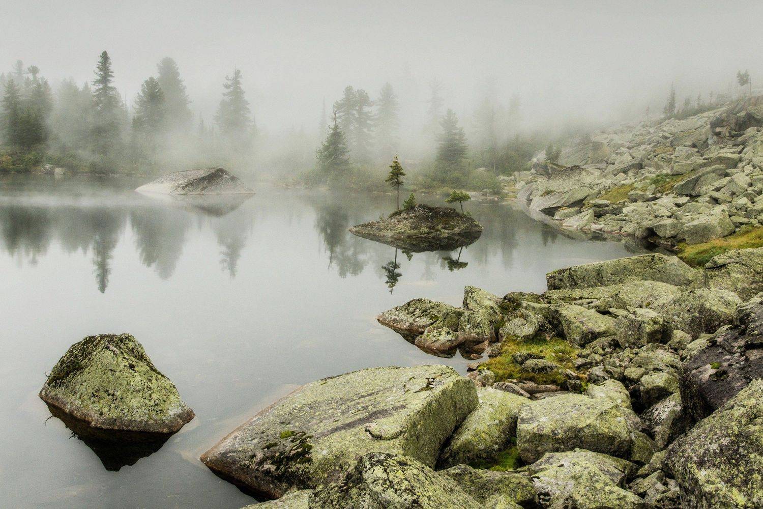 , Алексей Кретов