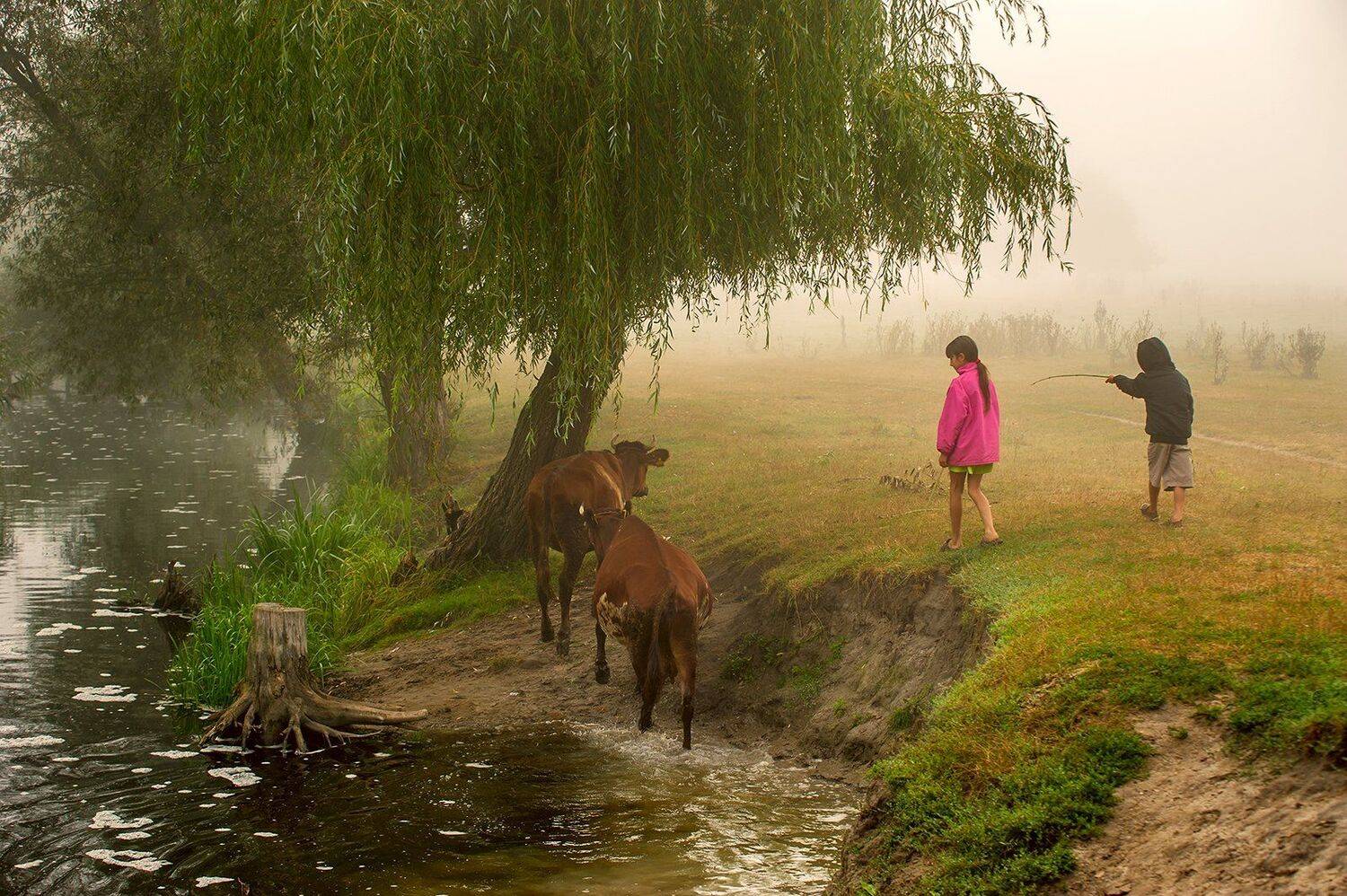 , Валерий Смирнов