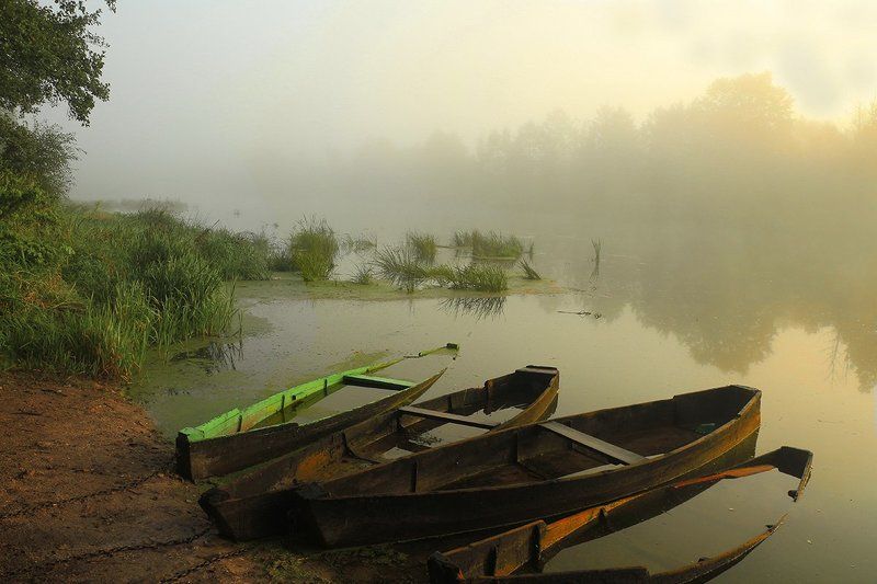 Вилия, утро, лодки Утренний натюрморт фото превью