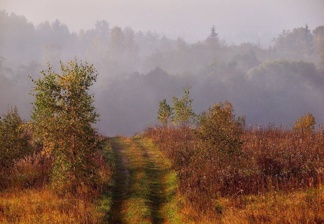 , Владимир Перепечаев