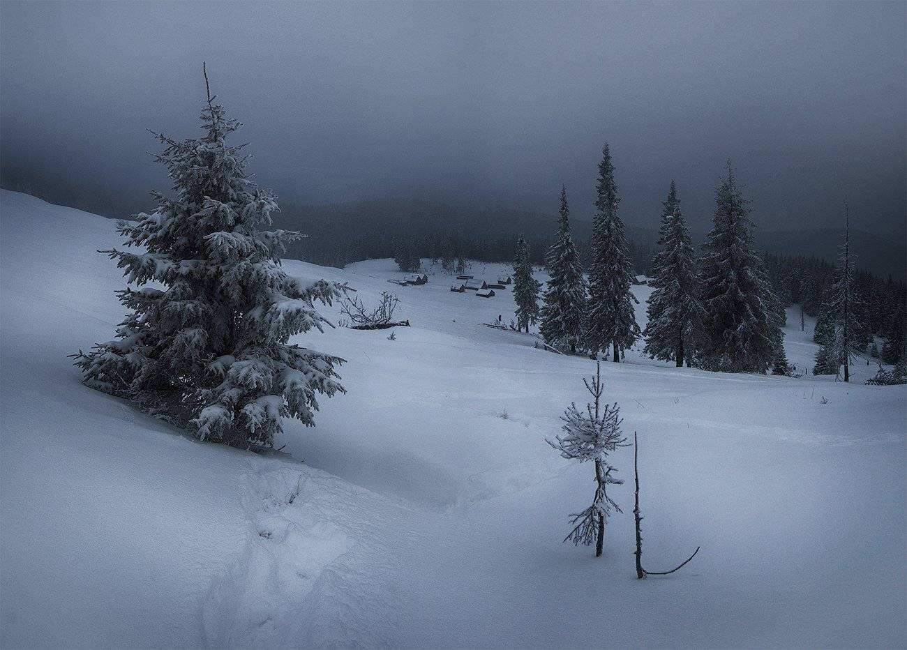Горы, Зима, Карпаты, flyman