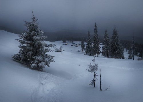 Зимние сумерки