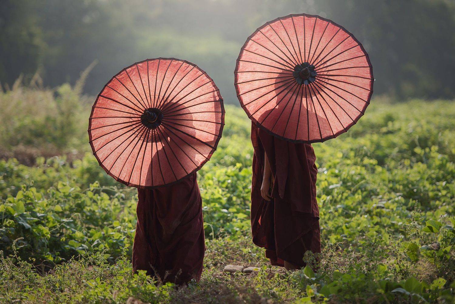 Friend, sarawut intarob