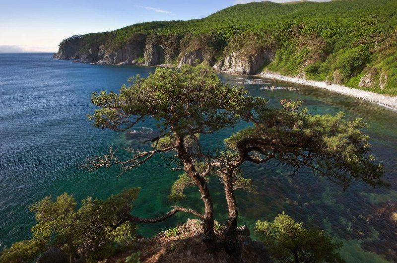 Утро в бухте Теляковского фото превью