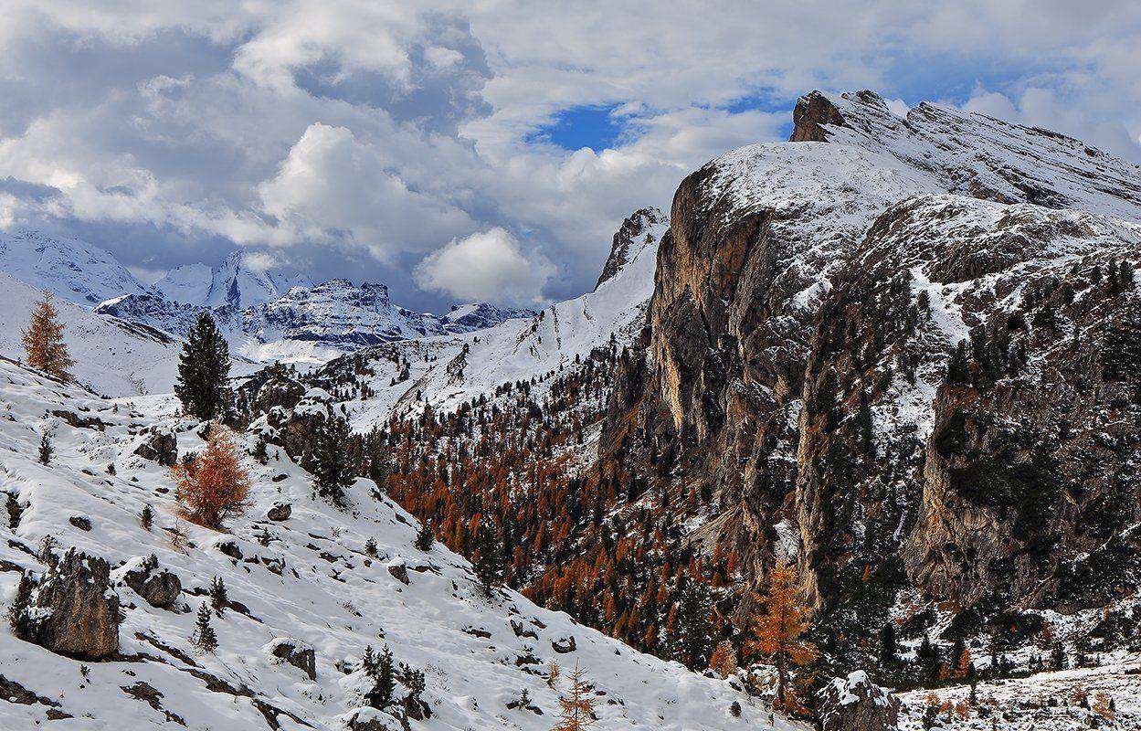 , Игорь Дубровский