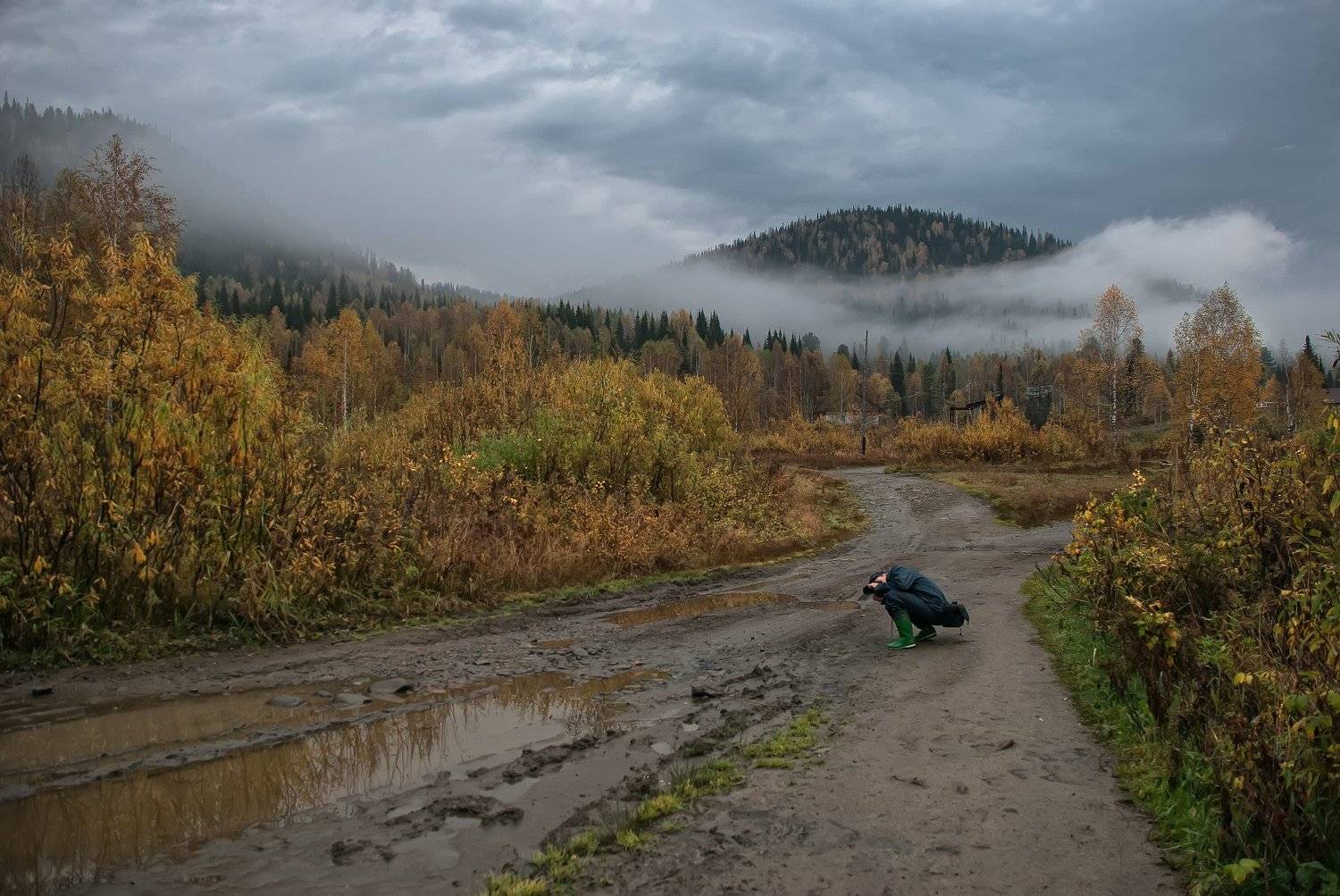 лужба осень горы туман утро , Любовь Фурс