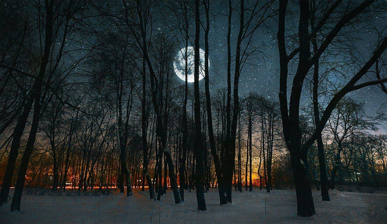 , Подойницин Геннадий