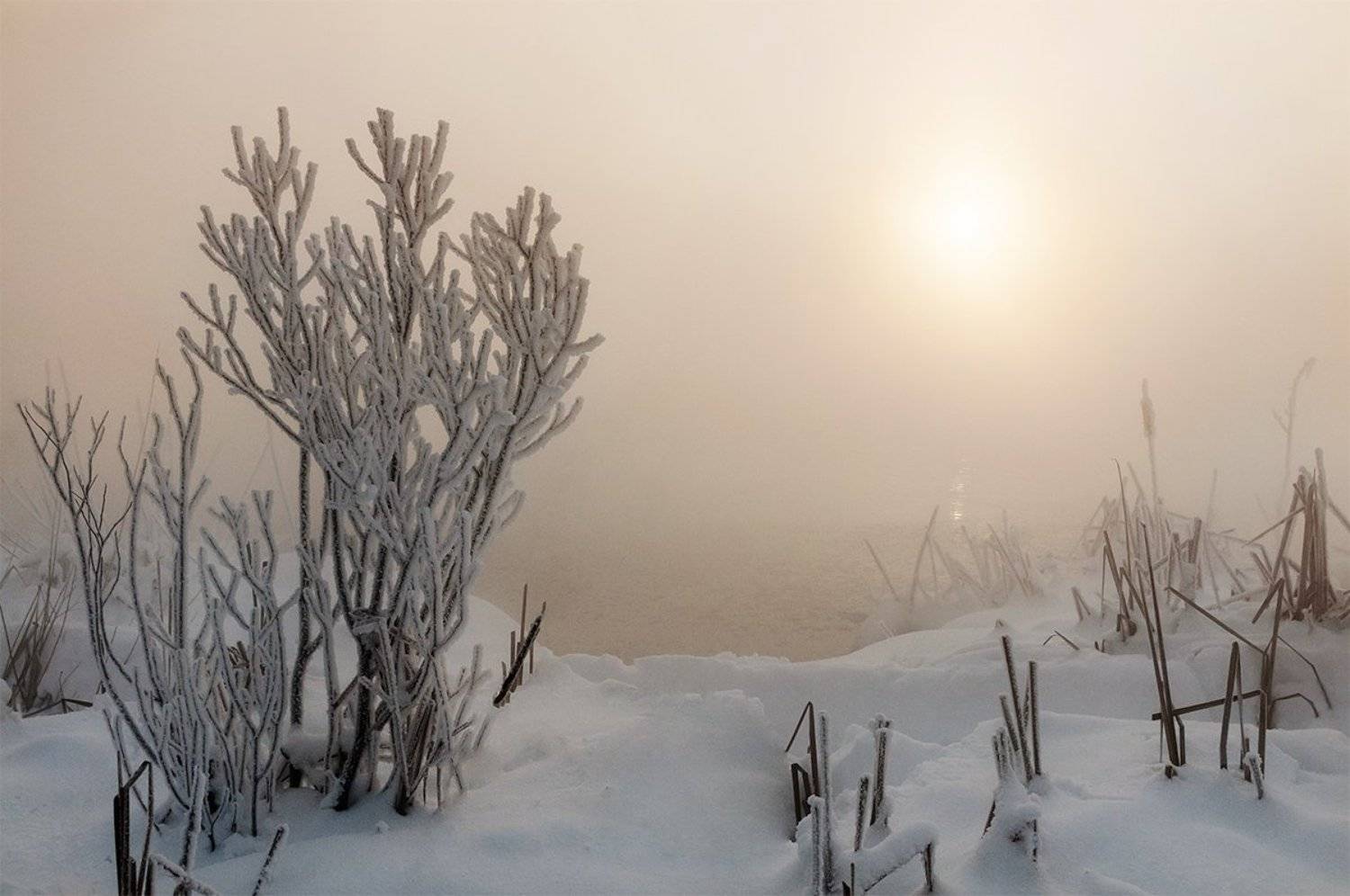 , Анатолий Зверев