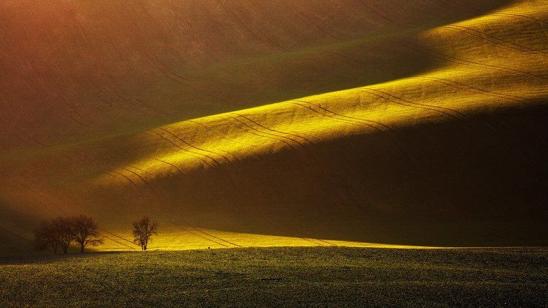 Beautiful, Czech republic, Landscape, Light, Photo tour, South moravia, Workshop Moravian Lines фото превью