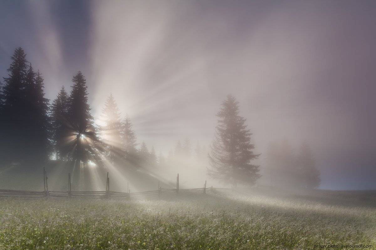 , Антон Петрусь