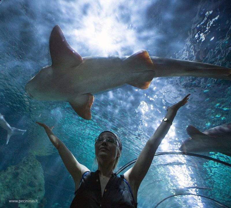 , Valentinas Pecininas