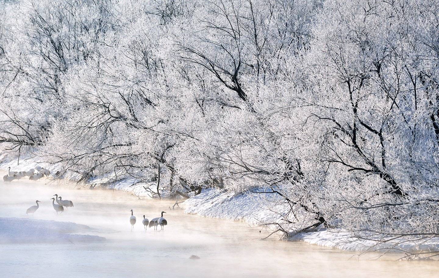 Кран, KIM SUK EUN