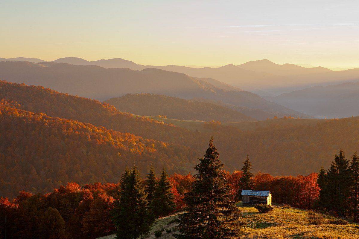 Карпати, Виталий Ра