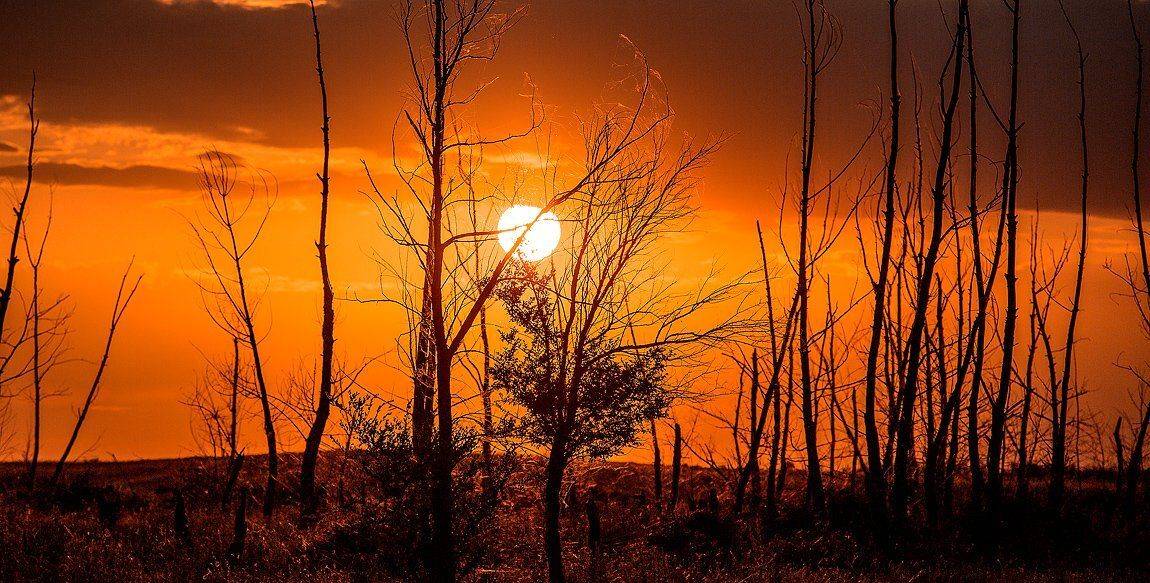 Закат, Качурин, Качурин алексей, Оребургская область, Орск, Качурин Алексей