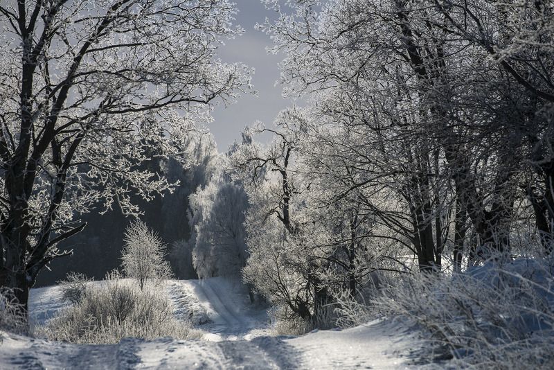 Oбочины фото превью