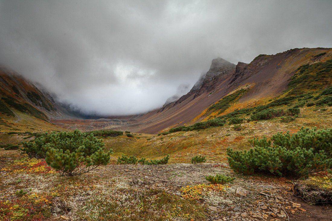 Вачкажец, Горы, Камчатка, Тундра, Сергей Краснощёков