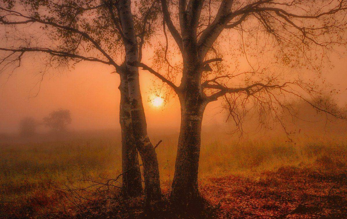 , Сергей (Bekr)