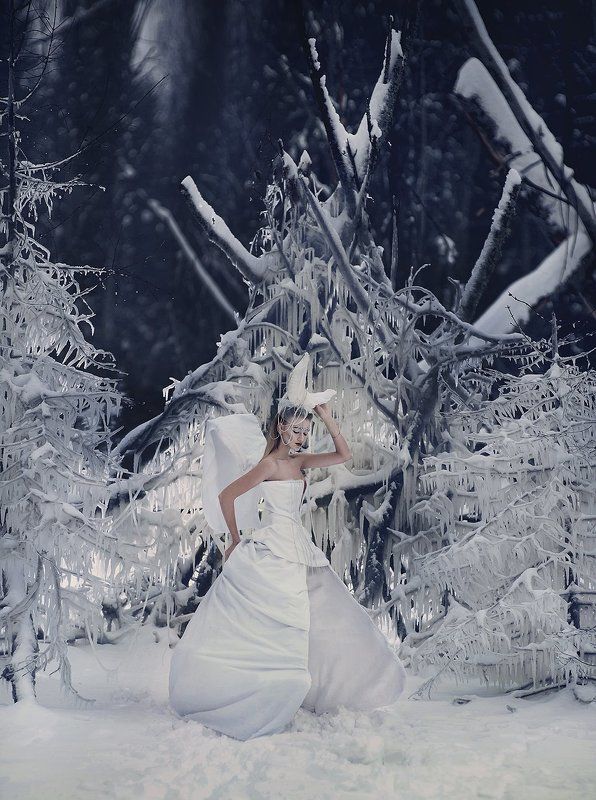 Королевстов во льдах фото превью