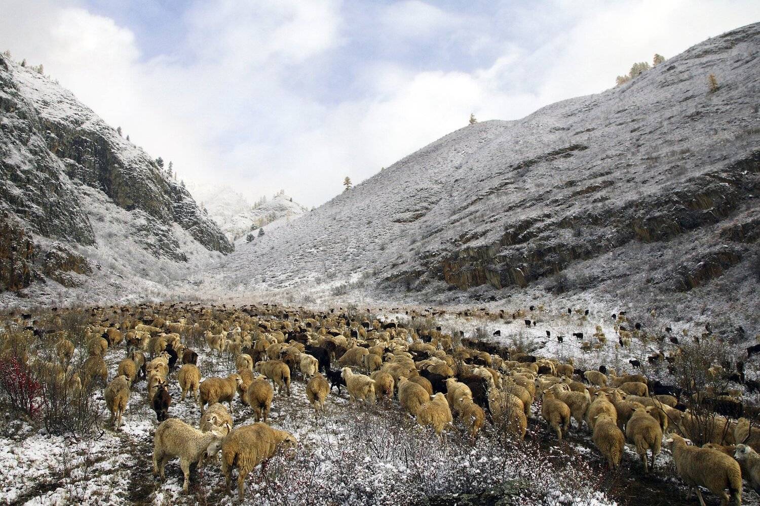 , Рудик Валерий