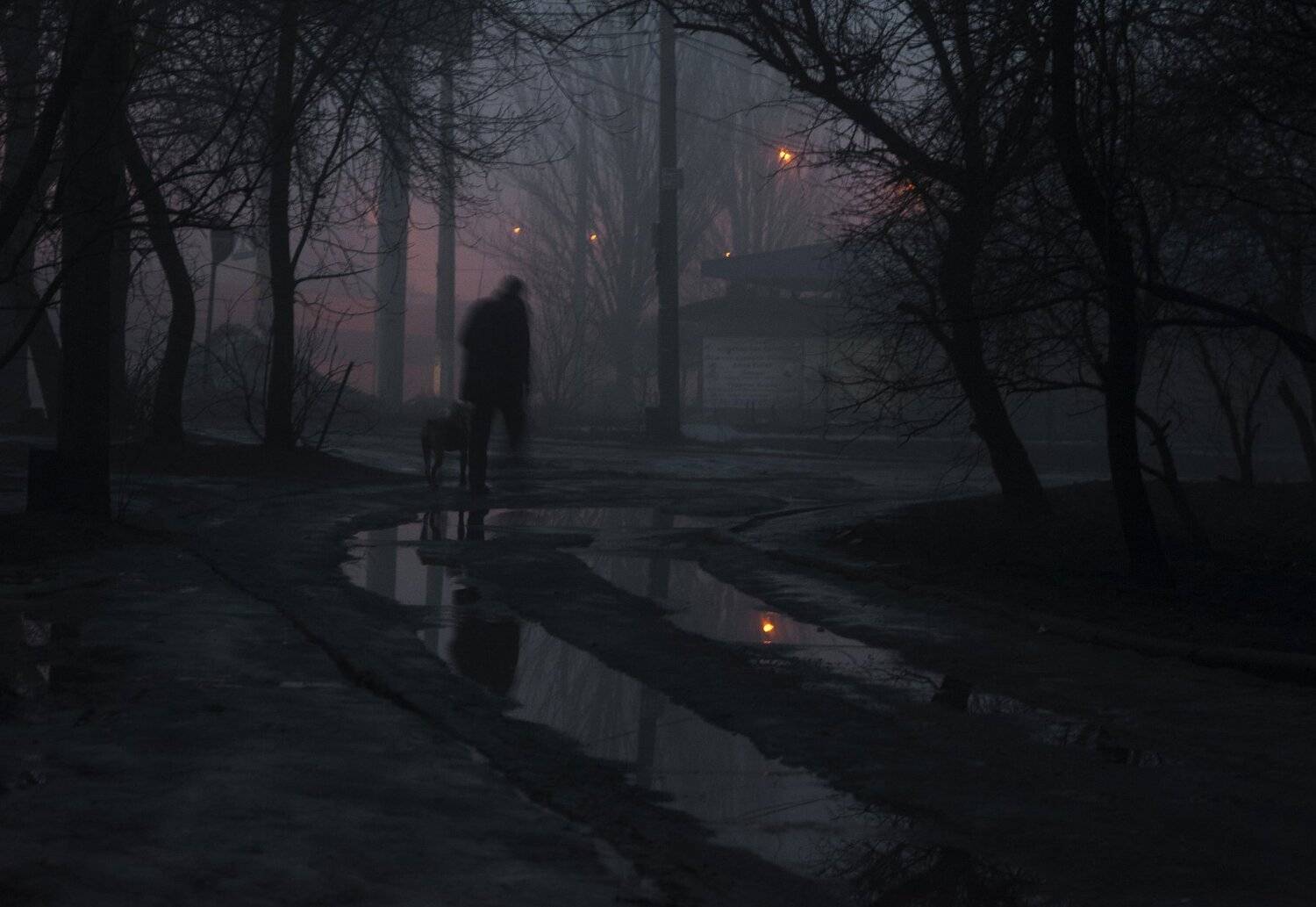 , Виктор Бойко