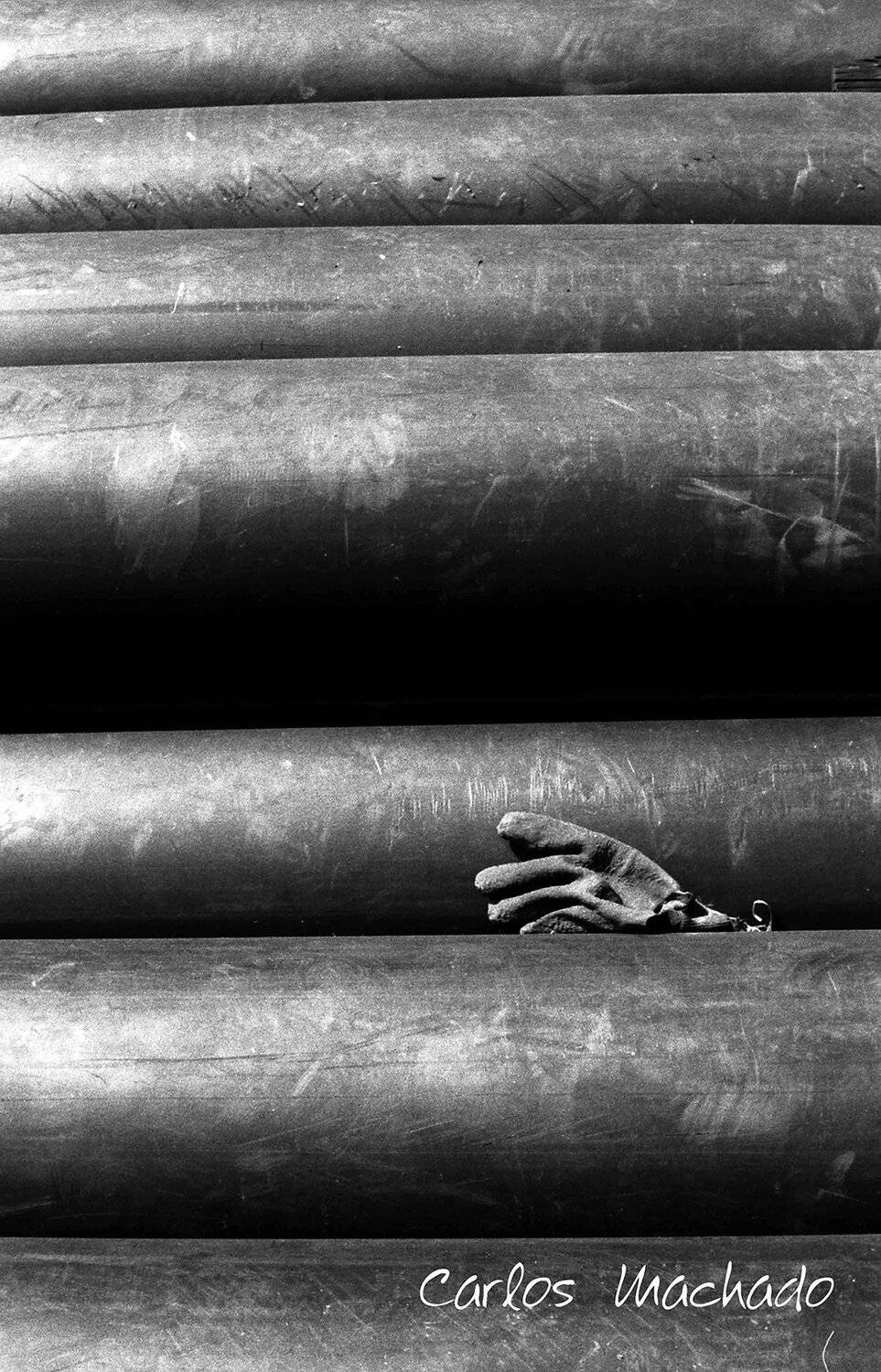 Macro, Still Life, Other, , Carlos Machado