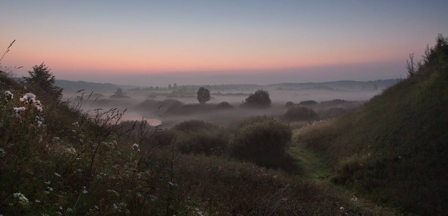 тригорское, псковская область, июль, Андрей Леонидович