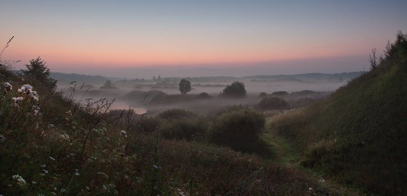 тригорское, псковская область, июль Белой скатертью... фото превью
