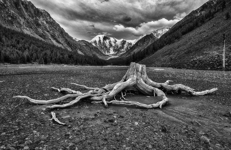 Пейзаж, макро и Соня. фото превью