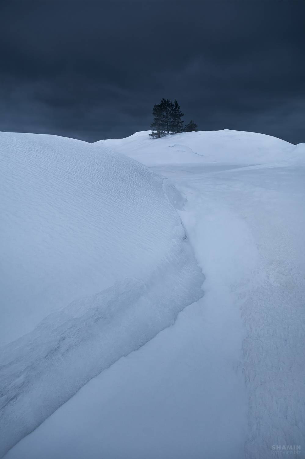 , Константин Шамин