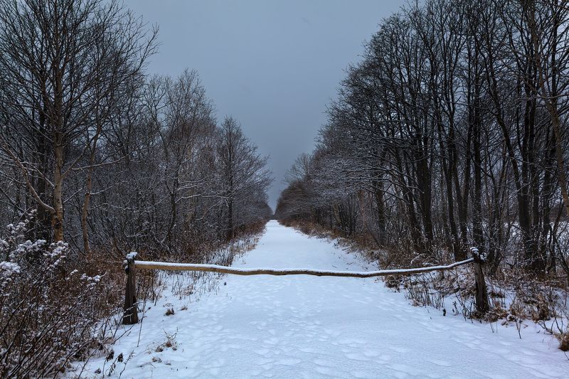 дорога, шлагбаум, пасмурный день Дорога фото превью