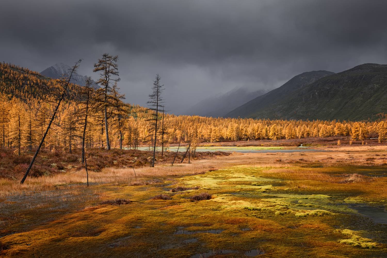 , Евдокимов Максим