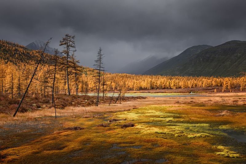 Страшно? Красиво? Страшно-красиво?... фото превью