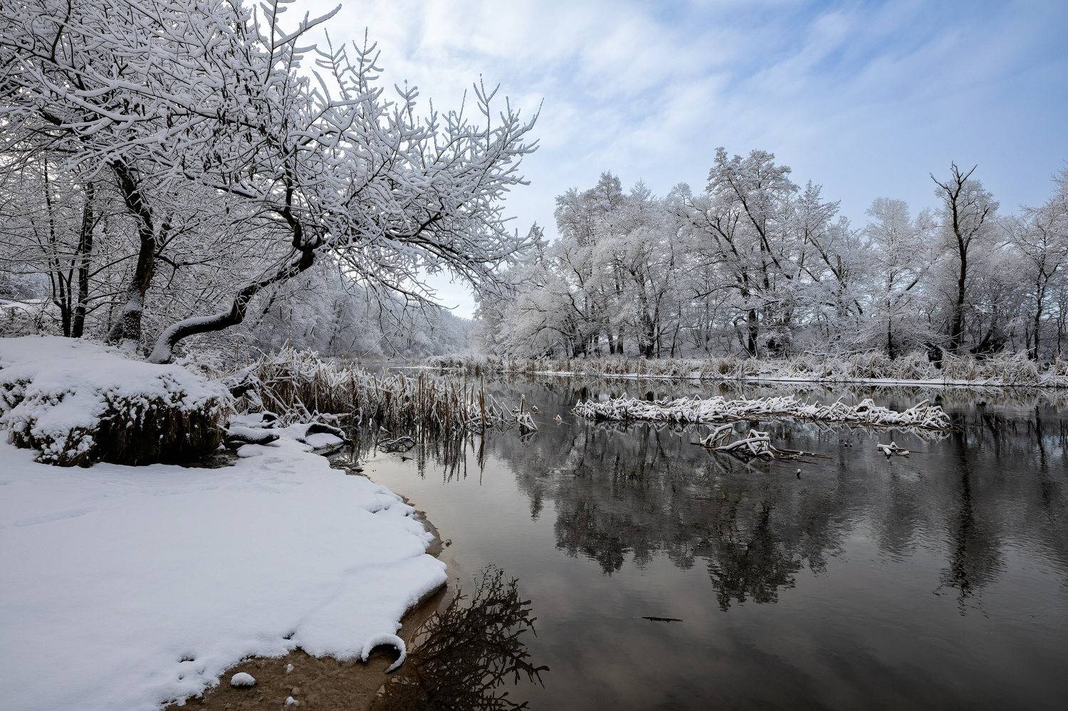 , Александр Бредихин