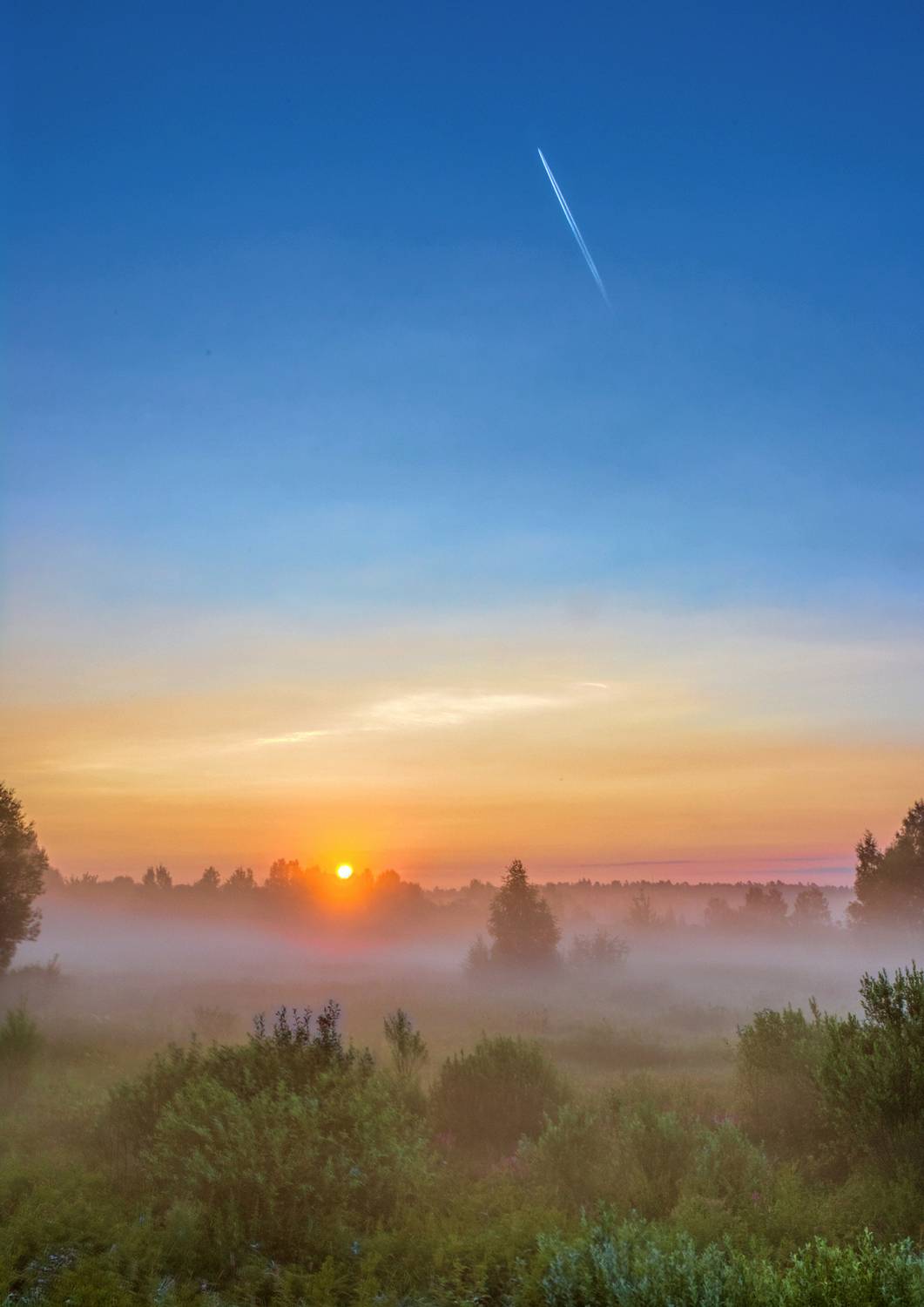 природа пейзаж восход солнце туман лето подмосковье, Юрий Спасенников