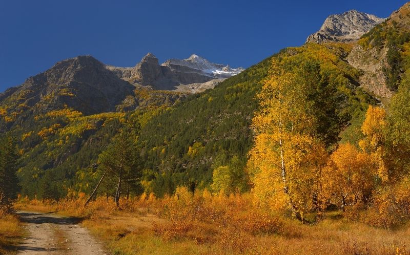 Осень в Чиринколе фото превью