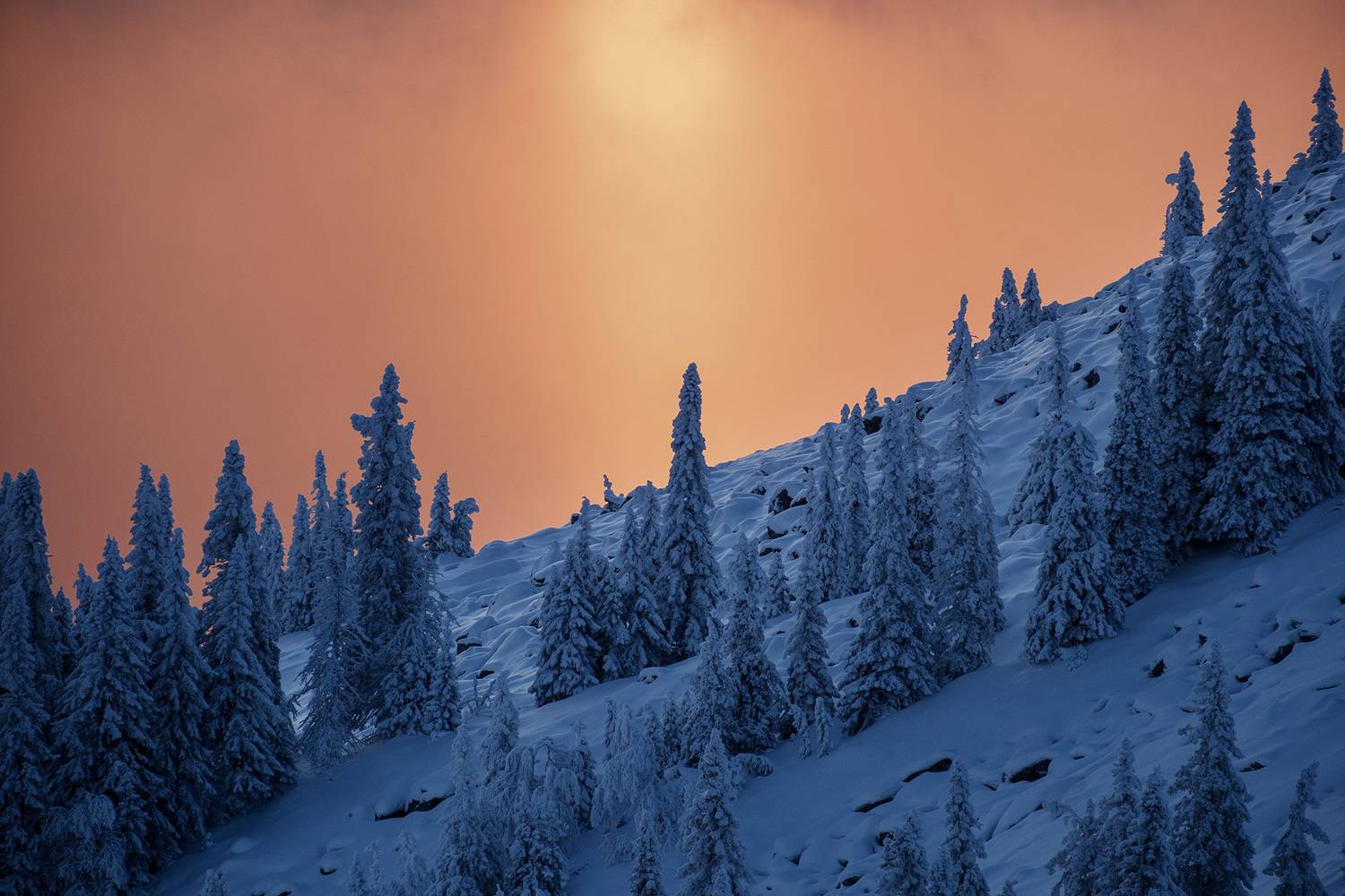 , Бодрягин Виталий