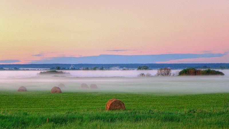 природа пейзаж лето рассвет восход поле туман Долина туманов фото превью