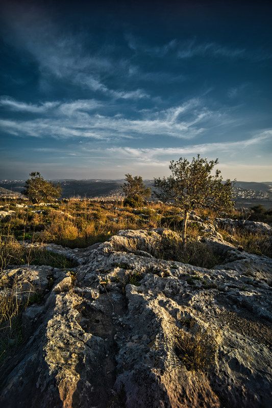 Samaria-Shomron фото превью